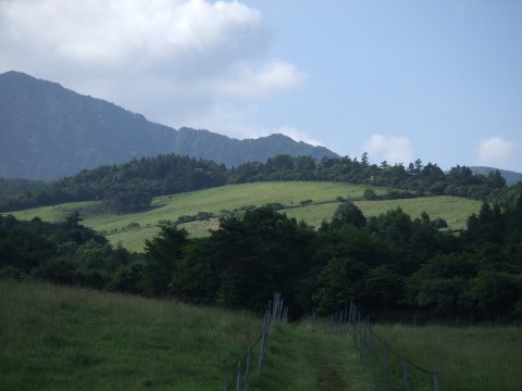 c0107861_19133691.jpg