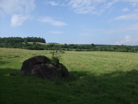 c0107861_1914244.jpg