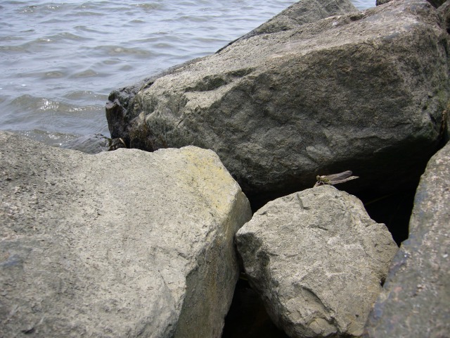 d0094165_1137236.jpg