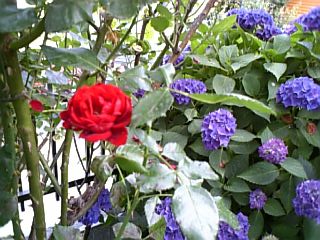d0041268_2281439.jpg