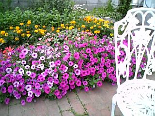 d0041268_228428.jpg