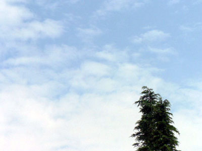 f0086169_20341531.jpg