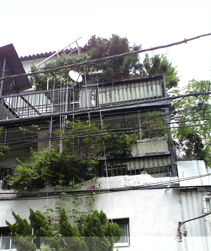 d0004574_1510346.jpg