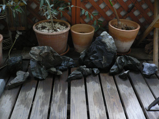 e0112379_0203459.jpg