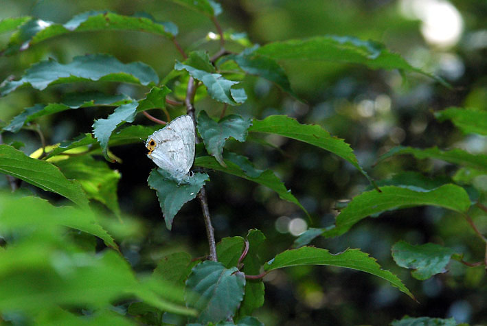 f0090680_2122304.jpg