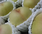 f0016981_21201869.jpg