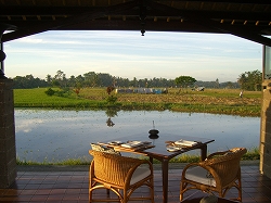 b0101284_1725754.jpg