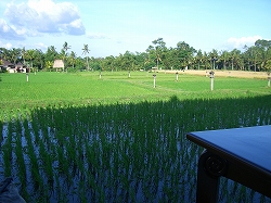 b0101284_17262526.jpg