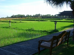 b0101284_17313548.jpg
