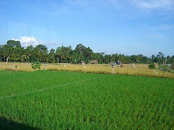 b0101284_1739385.jpg
