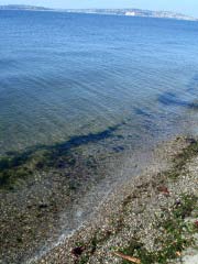 c0103793_9502136.jpg