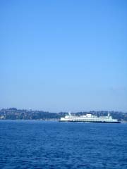 c0103793_993324.jpg