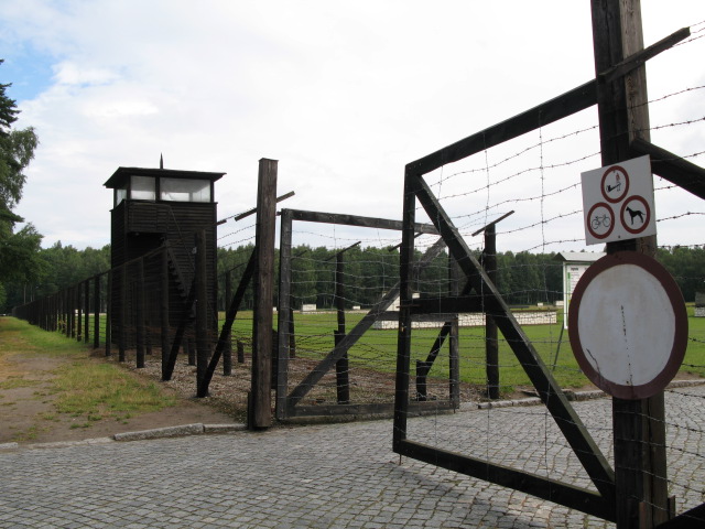 f0129897_8181640.jpg