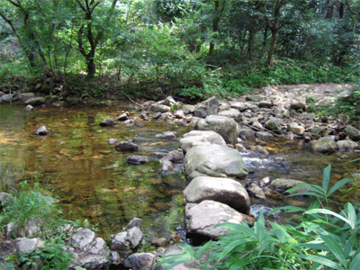 b0108100_2156481.gif
