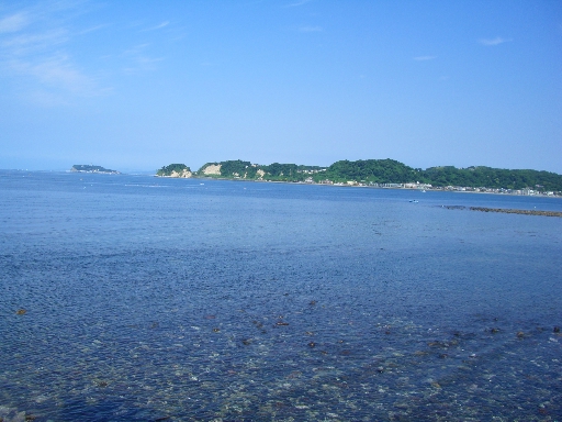 c0110906_1034445.jpg