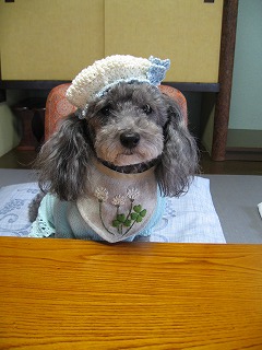 b0032513_22152370.jpg