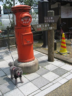 b0032513_22165567.jpg