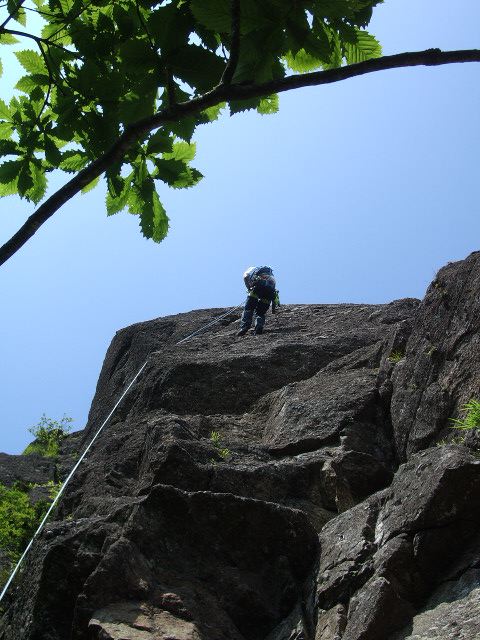 d0100314_1032219.jpg