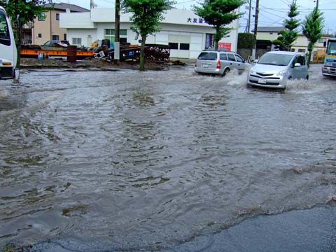 f0147025_15565831.jpg