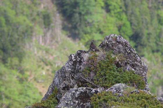 f0081726_20101696.jpg