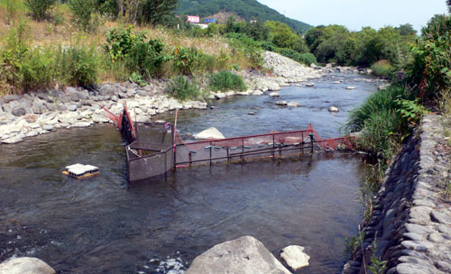 a0046429_19384849.jpg