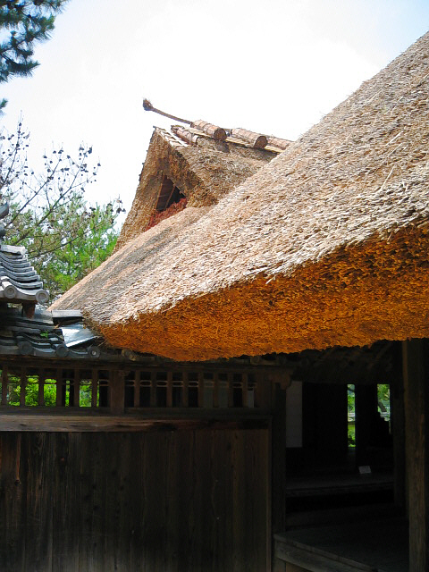 母屋から離れを望む茅葺の屋根の部分。綺麗にカットされた屋根の厚みが美しい。