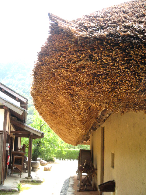 屋根の角の部分。茅の厚みが一層良く解る部分です。ざっくりと切りそろえられただけなのに、滑らかで美しいラインに仕上がっています。