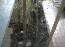 b0035734_20144431.jpg
