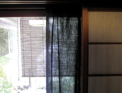 b0035734_2015145.jpg