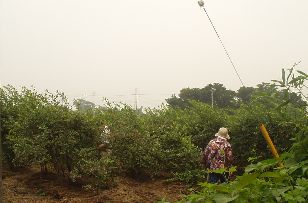 d0093936_2291287.jpg