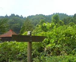 d0107938_1157722.jpg