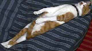 c0001339_16562940.jpg