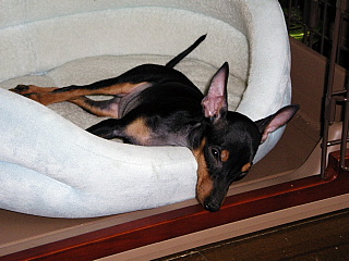 c0123149_15391436.jpg