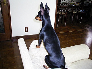 c0123149_15491581.jpg