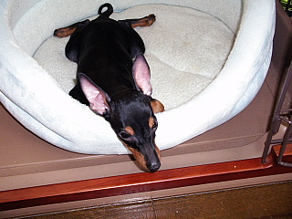 c0123149_1552349.jpg