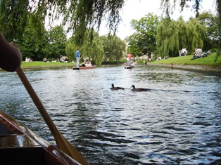 e0018350_7232240.jpg