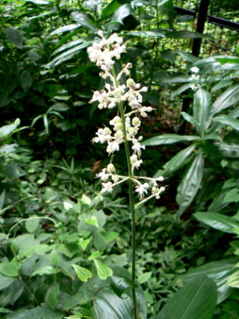 d0091754_22432365.jpg