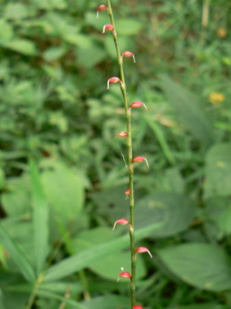 d0091754_2244364.jpg