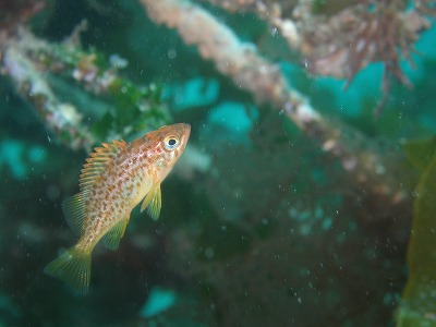 a0079659_8292193.jpg