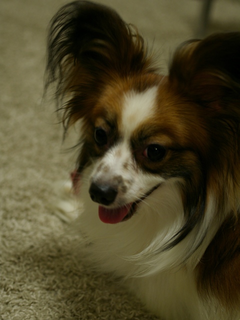 d0074259_3154364.jpg