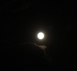 c0125662_1572410.jpg