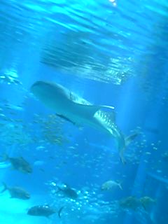 c0100570_18433945.jpg