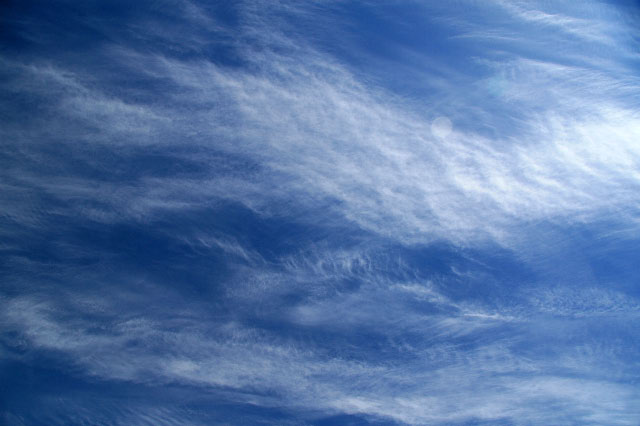 e0100772_231921.jpg