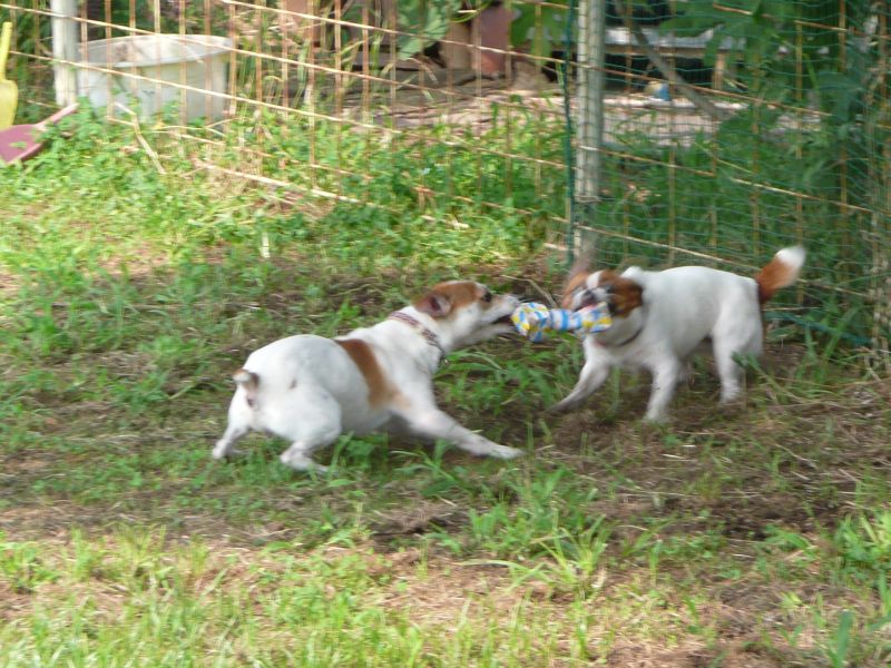 f0146581_0331567.jpg