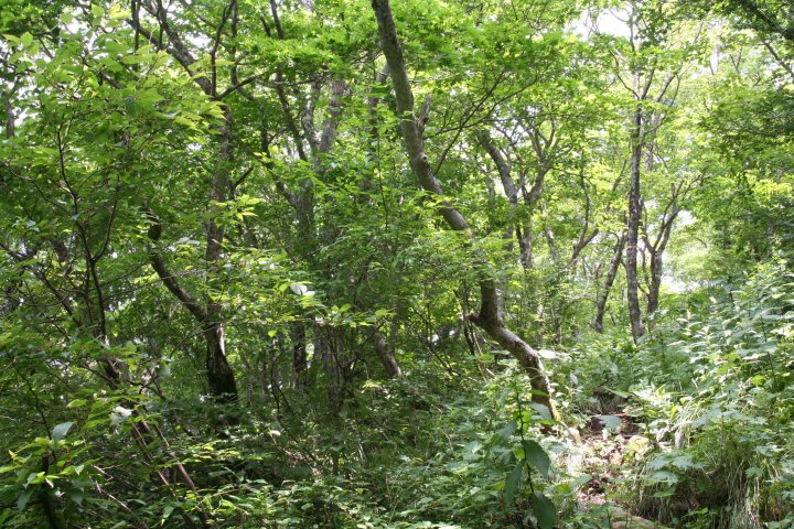 a0060882_8175047.jpg