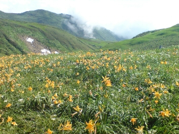 f0137483_1013665.jpg