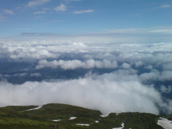 f0137483_1013668.jpg