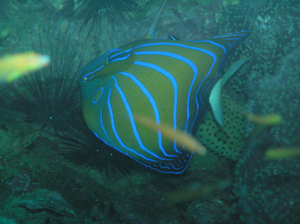 d0034291_22254218.jpg