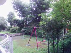 d0070094_5563040.jpg