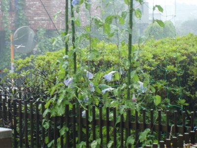 f0130894_21435130.jpg